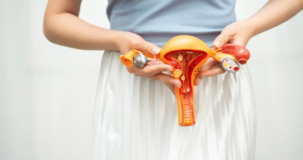 Common Gynecological Problems and How to Prevent Them Common Gynecological Problems