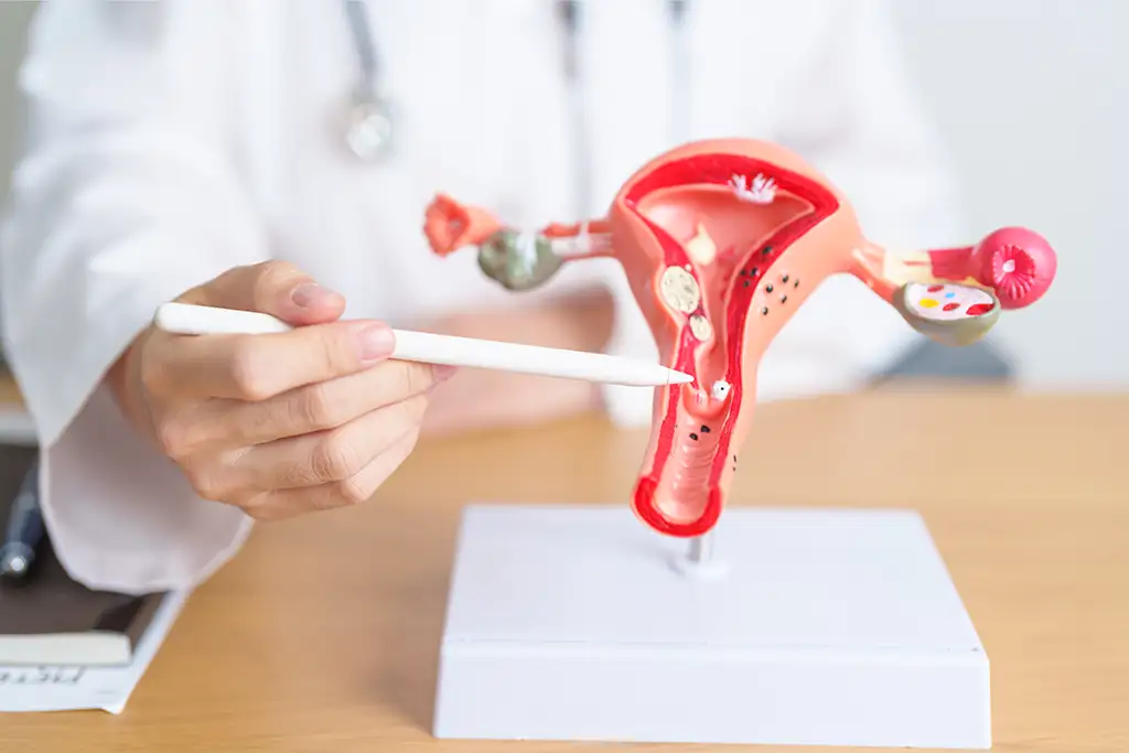 Understanding What IVF Is IVF